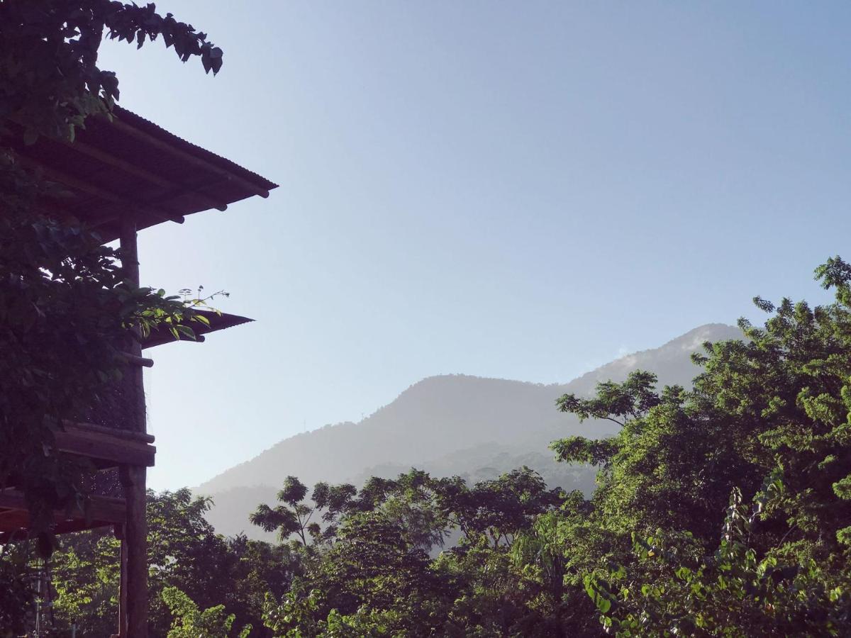 The Valley Tayrona Hostel- A Social Jungle Hostel El Zaino Εξωτερικό φωτογραφία