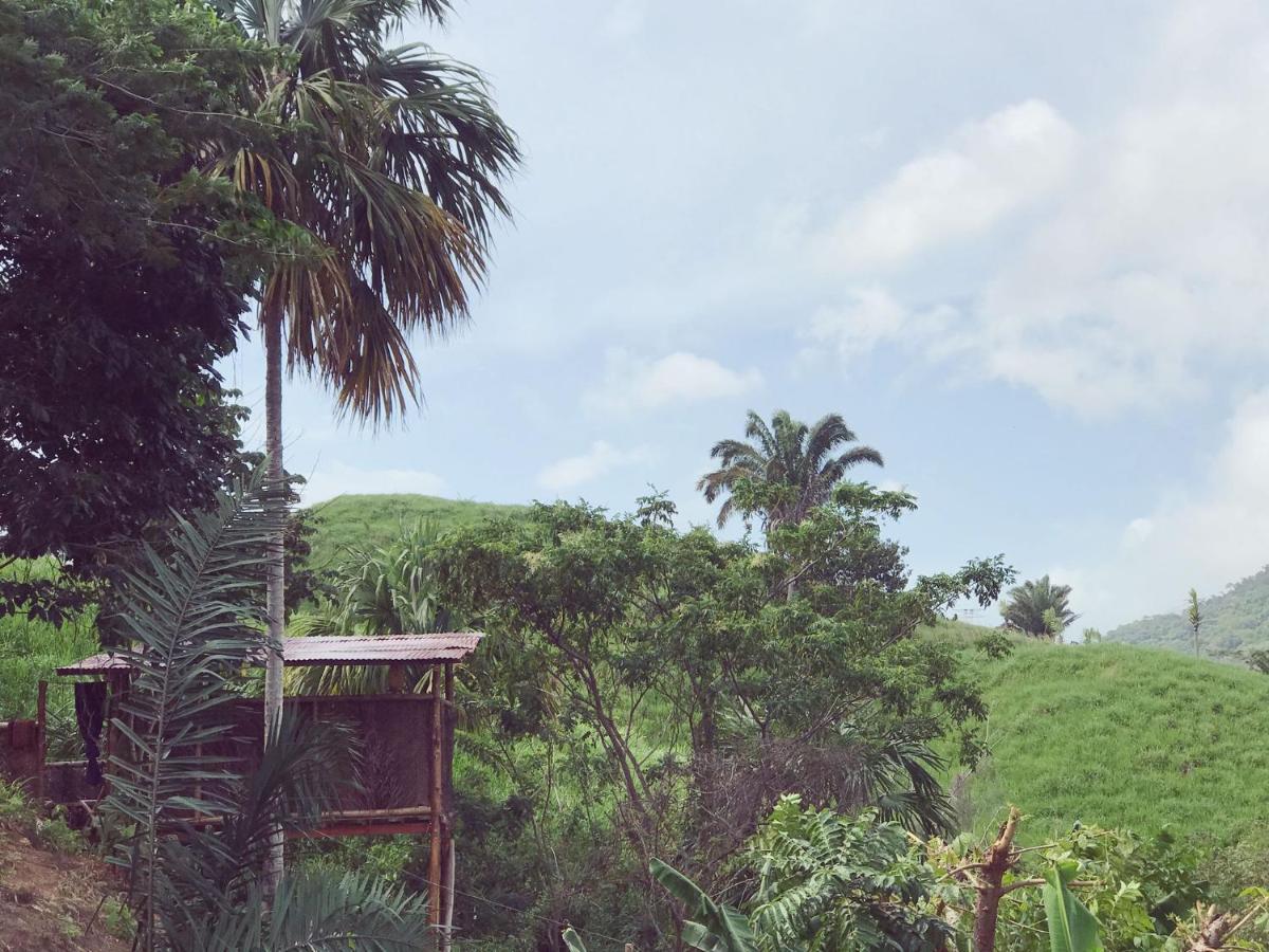 The Valley Tayrona Hostel- A Social Jungle Hostel El Zaino Εξωτερικό φωτογραφία