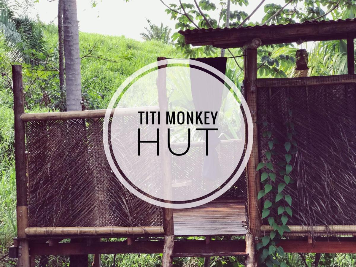 The Valley Tayrona Hostel- A Social Jungle Hostel El Zaino Εξωτερικό φωτογραφία