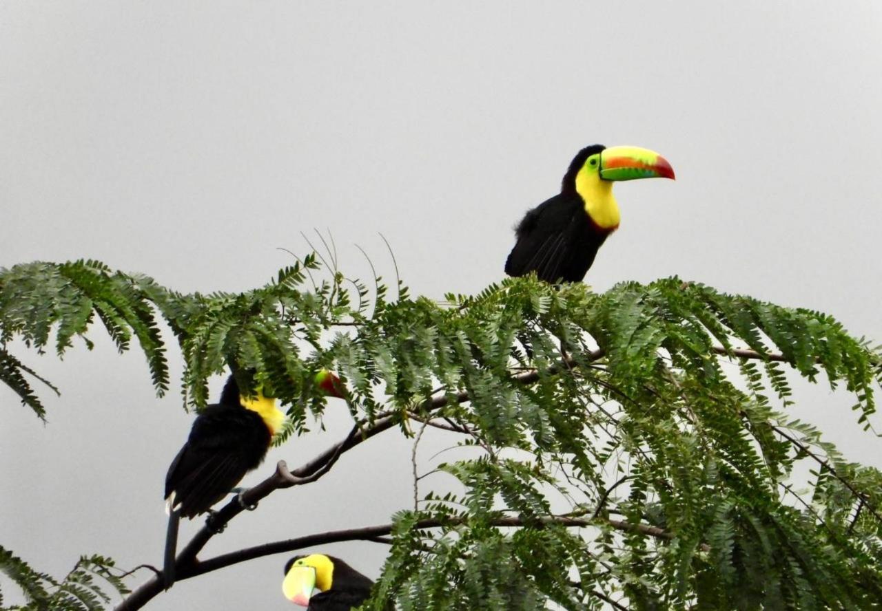 The Valley Tayrona Hostel- A Social Jungle Hostel El Zaino Εξωτερικό φωτογραφία