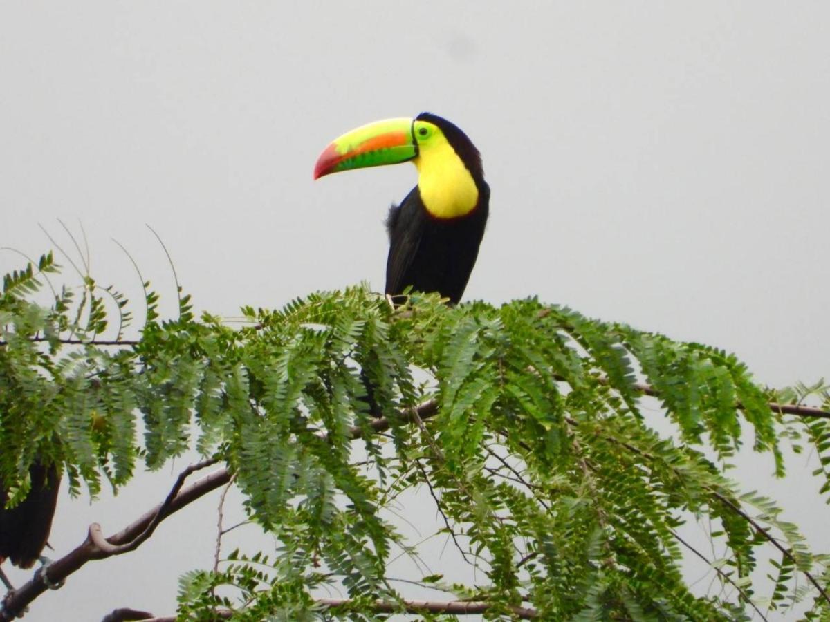 The Valley Tayrona Hostel- A Social Jungle Hostel El Zaino Εξωτερικό φωτογραφία