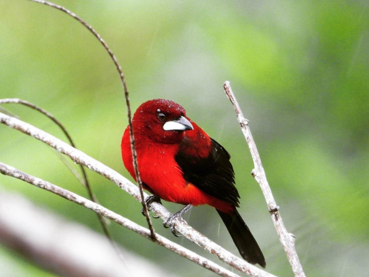 The Valley Tayrona Hostel- A Social Jungle Hostel El Zaino Εξωτερικό φωτογραφία