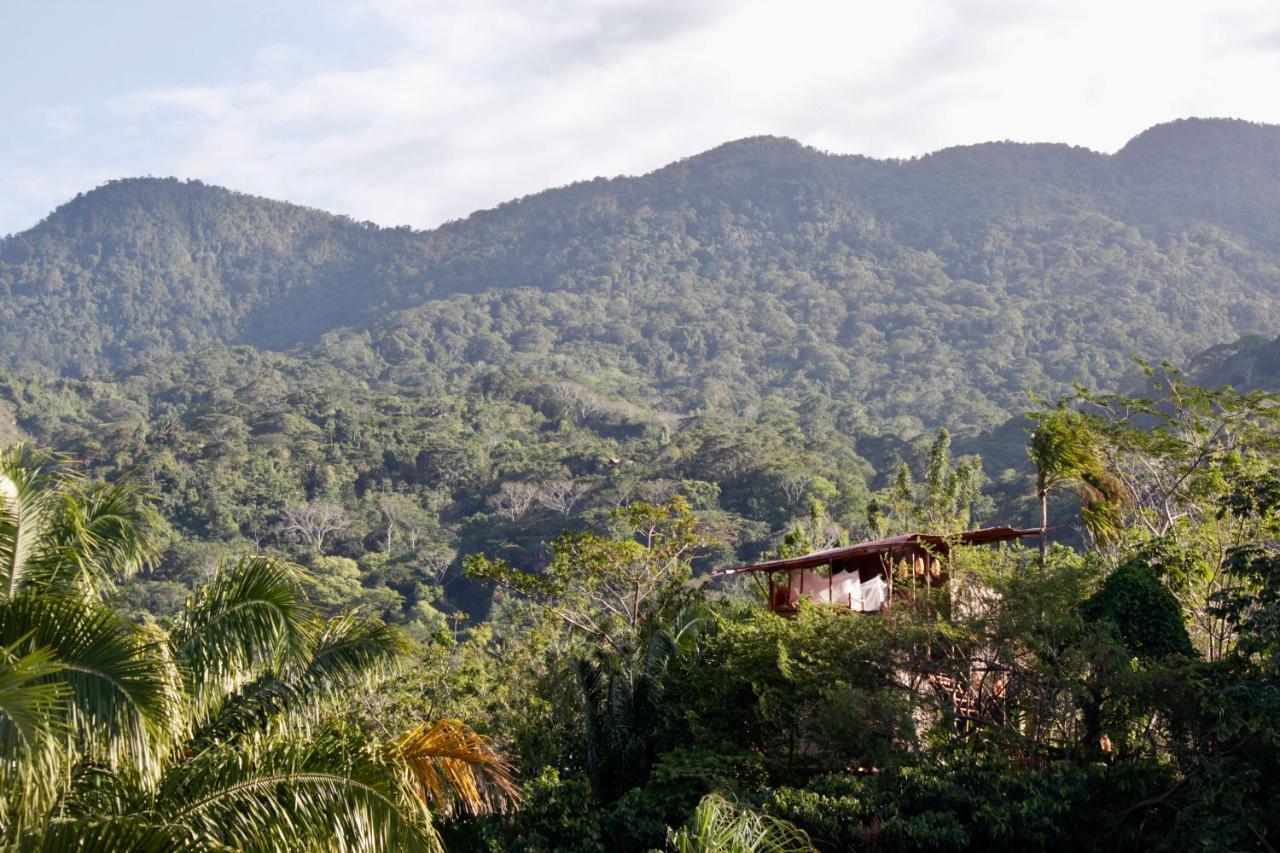 The Valley Tayrona Hostel- A Social Jungle Hostel El Zaino Εξωτερικό φωτογραφία