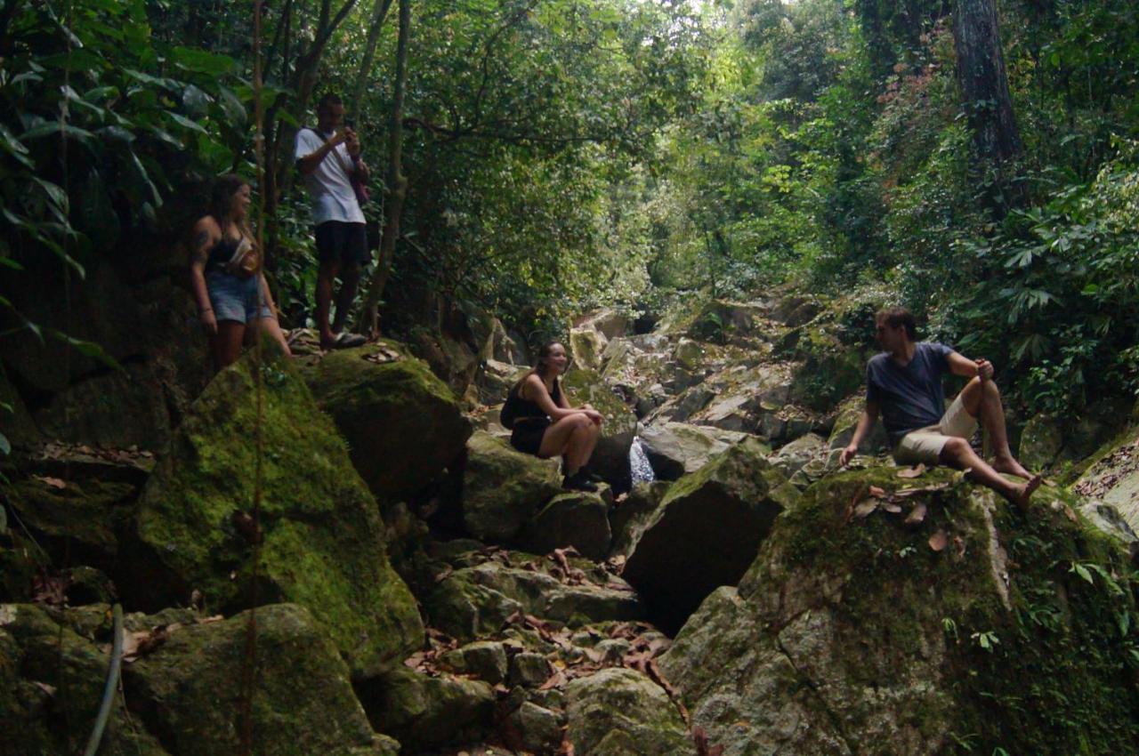 The Valley Tayrona Hostel- A Social Jungle Hostel El Zaino Εξωτερικό φωτογραφία