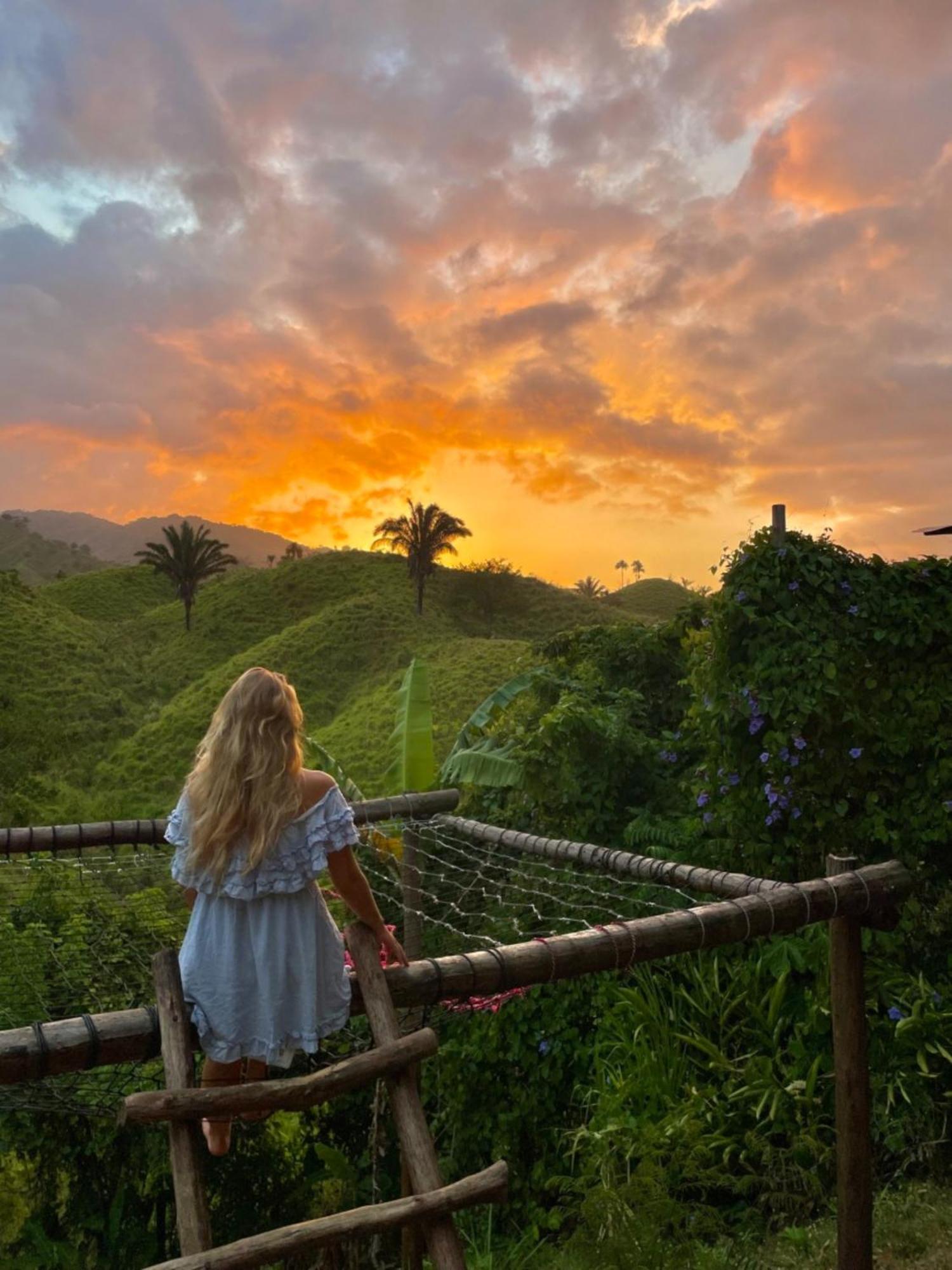 The Valley Tayrona Hostel- A Social Jungle Hostel El Zaino Εξωτερικό φωτογραφία