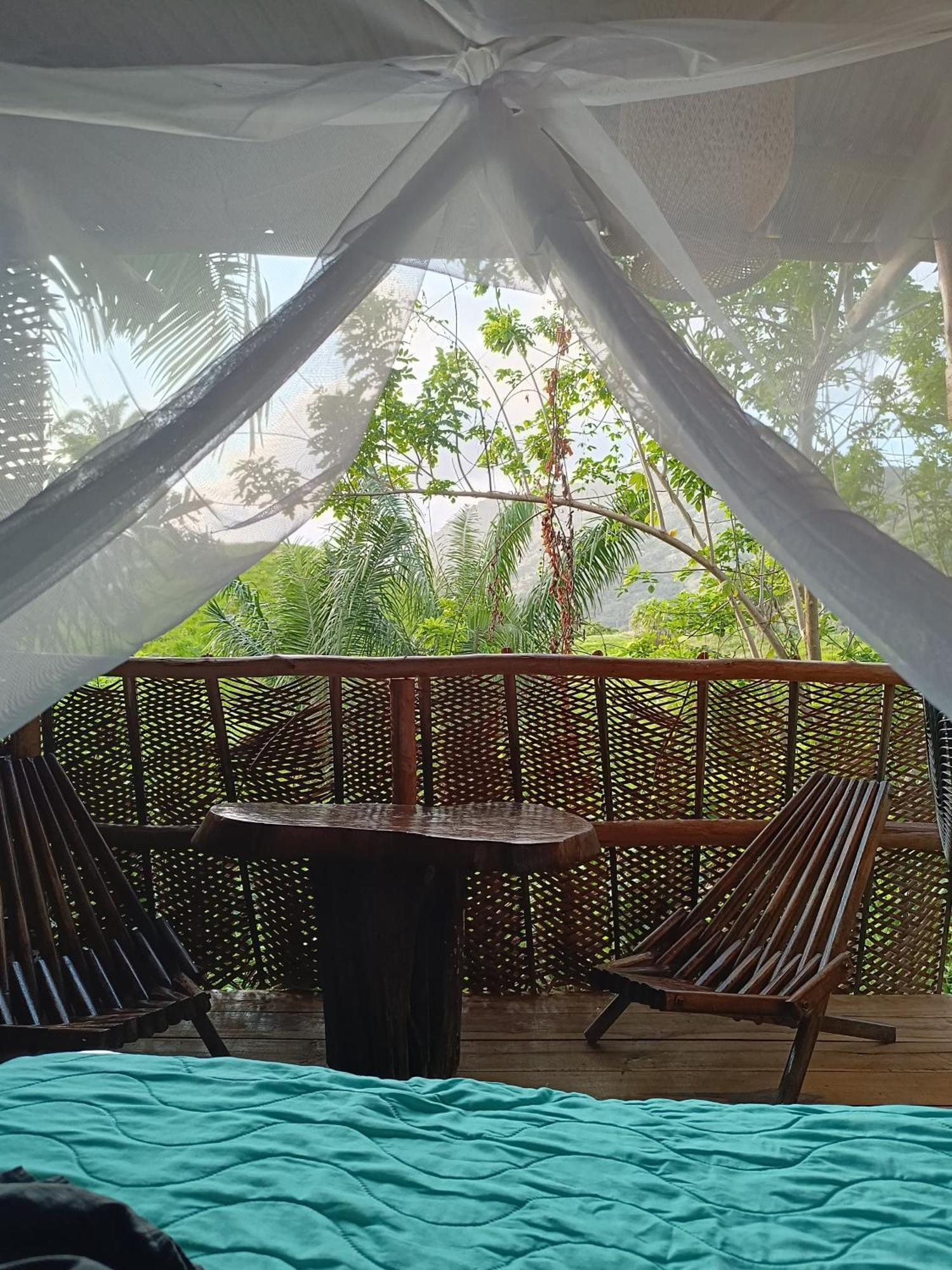 The Valley Tayrona Hostel- A Social Jungle Hostel El Zaino Εξωτερικό φωτογραφία