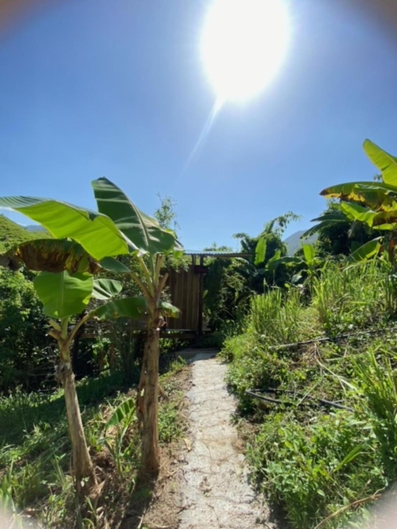 The Valley Tayrona Hostel- A Social Jungle Hostel El Zaino Εξωτερικό φωτογραφία