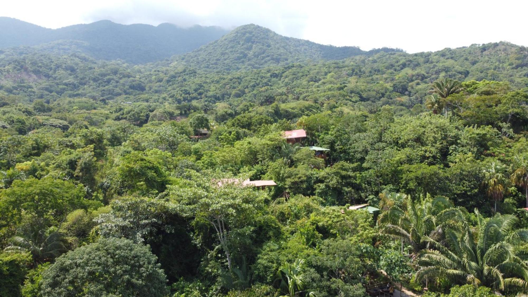 The Valley Tayrona Hostel- A Social Jungle Hostel El Zaino Εξωτερικό φωτογραφία