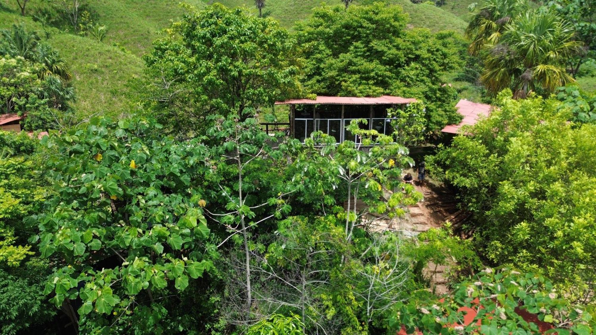 The Valley Tayrona Hostel- A Social Jungle Hostel El Zaino Εξωτερικό φωτογραφία