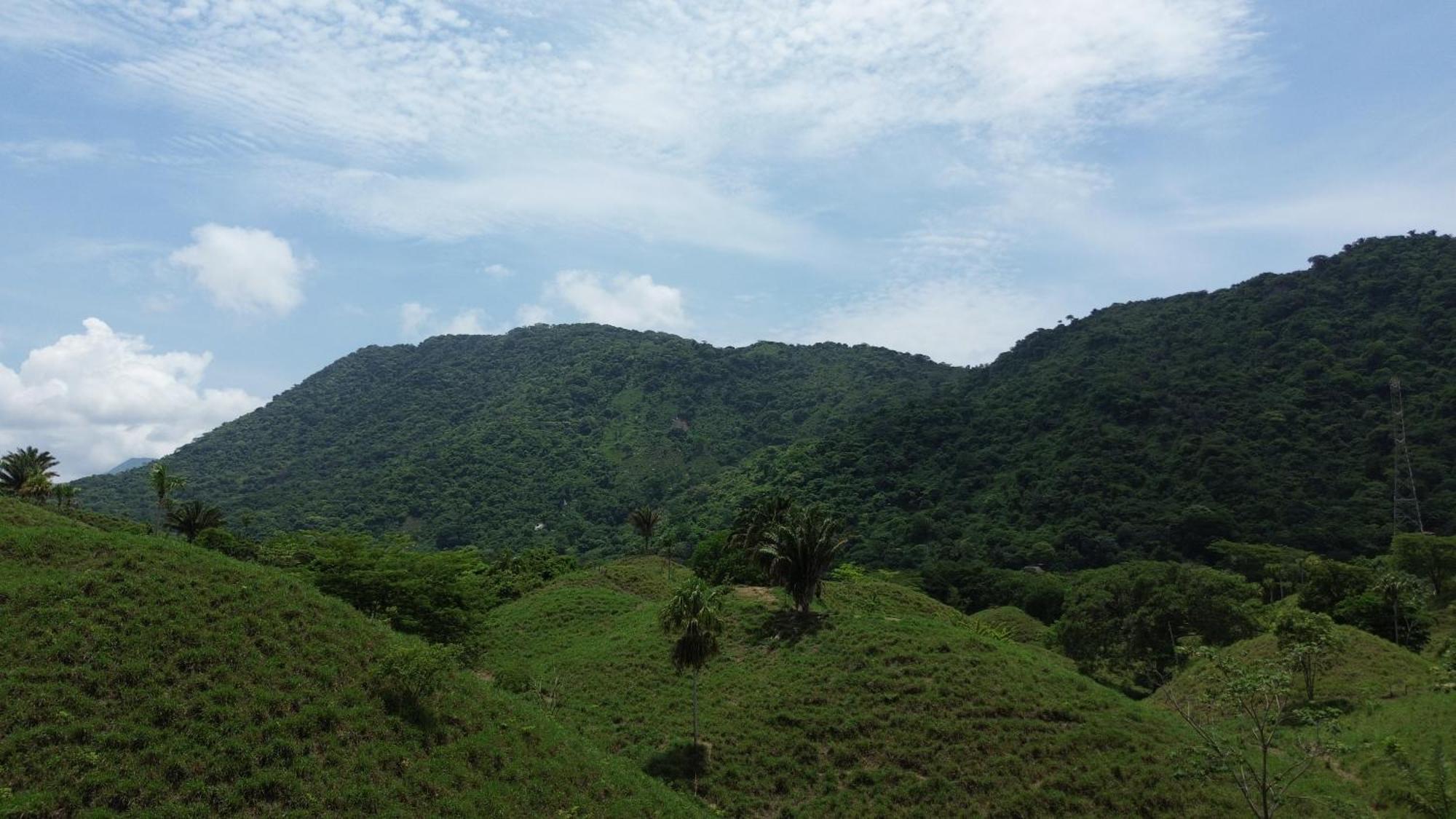 The Valley Tayrona Hostel- A Social Jungle Hostel El Zaino Εξωτερικό φωτογραφία