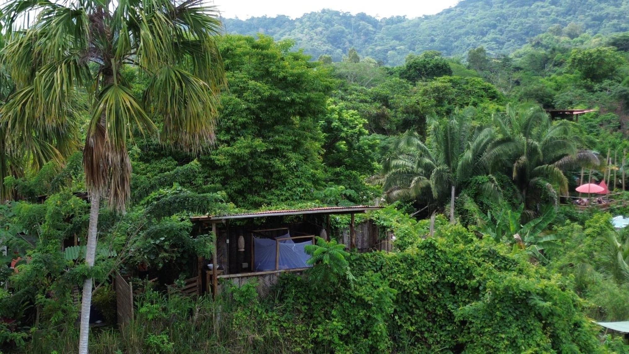 The Valley Tayrona Hostel- A Social Jungle Hostel El Zaino Εξωτερικό φωτογραφία