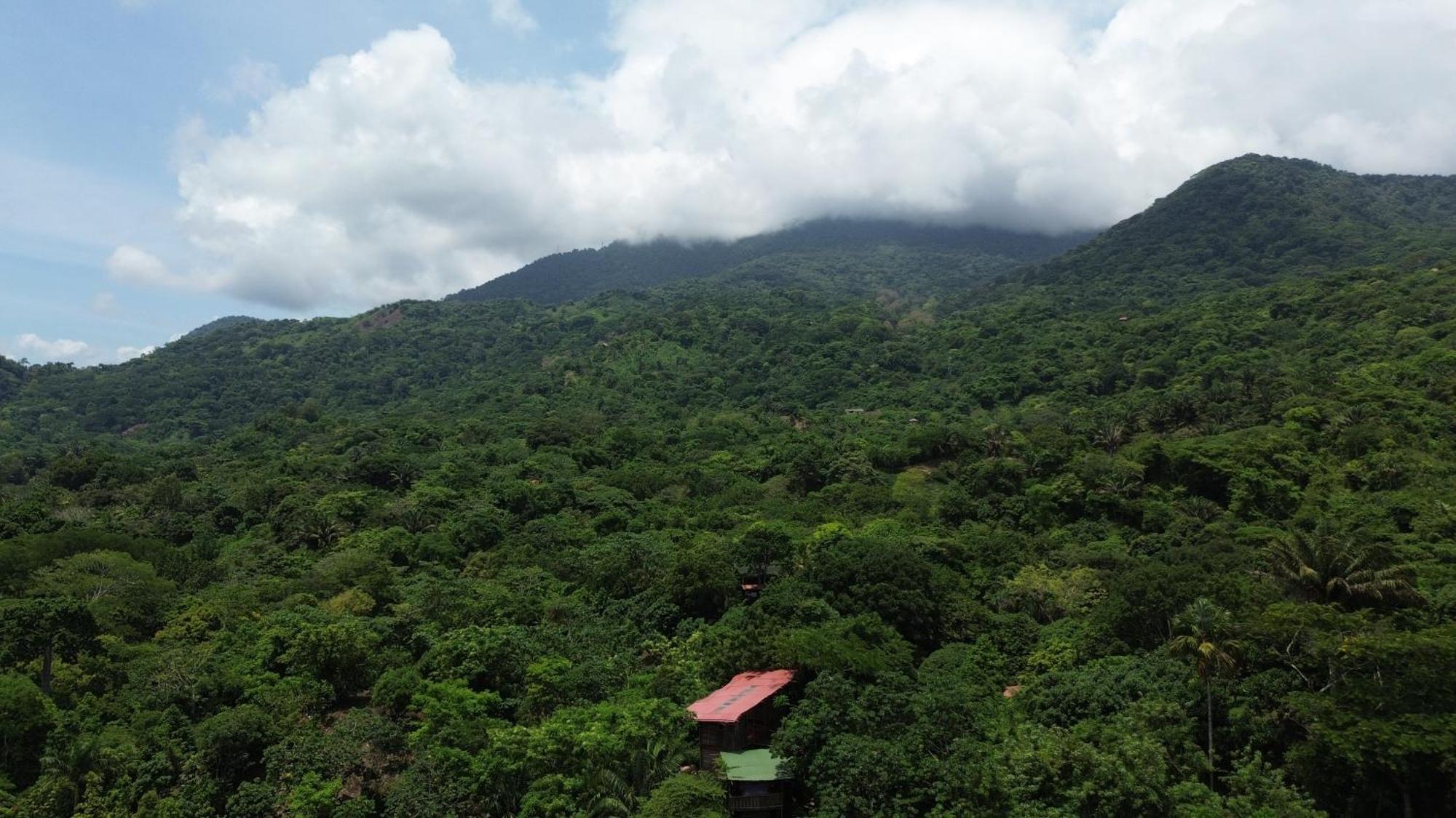 The Valley Tayrona Hostel- A Social Jungle Hostel El Zaino Εξωτερικό φωτογραφία