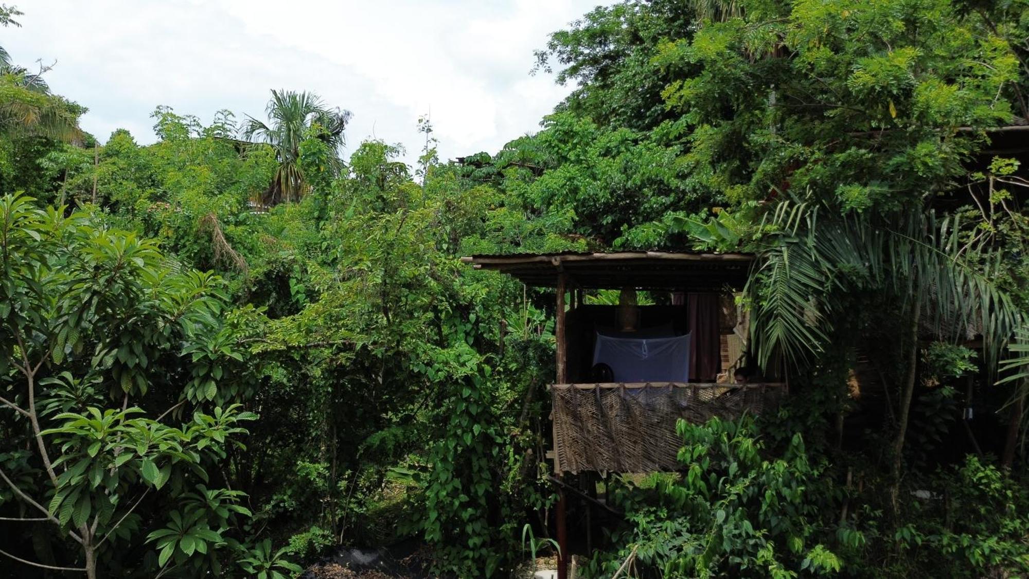 The Valley Tayrona Hostel- A Social Jungle Hostel El Zaino Εξωτερικό φωτογραφία