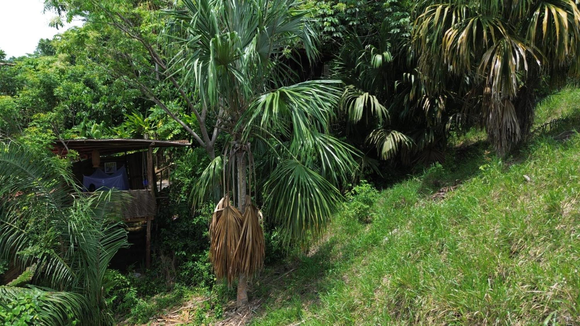 The Valley Tayrona Hostel- A Social Jungle Hostel El Zaino Εξωτερικό φωτογραφία