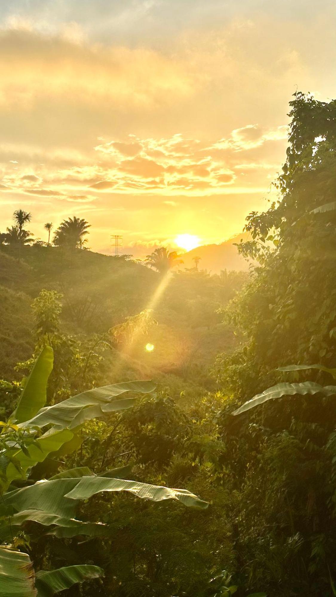 The Valley Tayrona Hostel- A Social Jungle Hostel El Zaino Εξωτερικό φωτογραφία