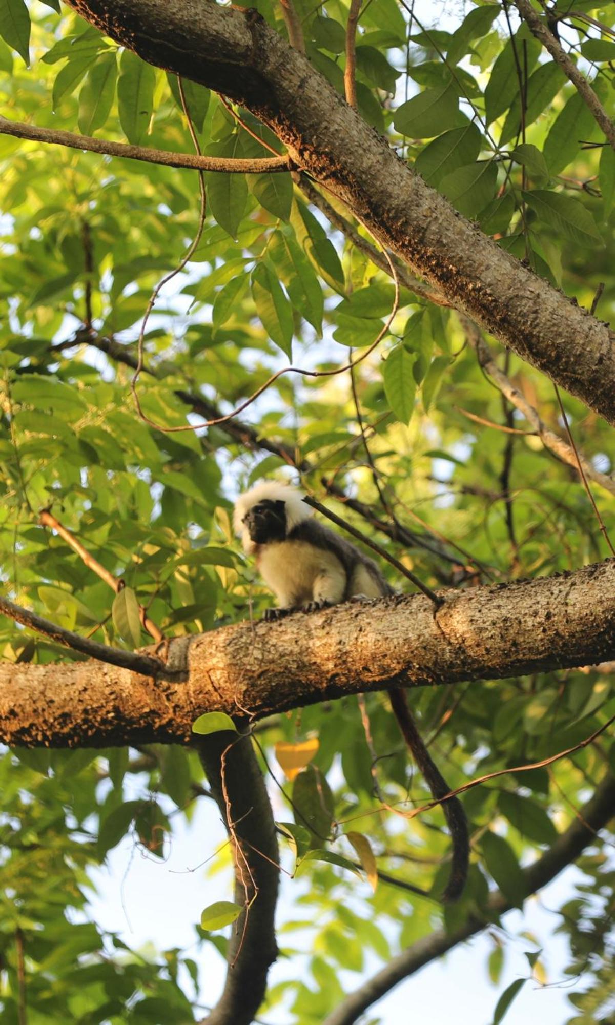 The Valley Tayrona Hostel- A Social Jungle Hostel El Zaino Εξωτερικό φωτογραφία