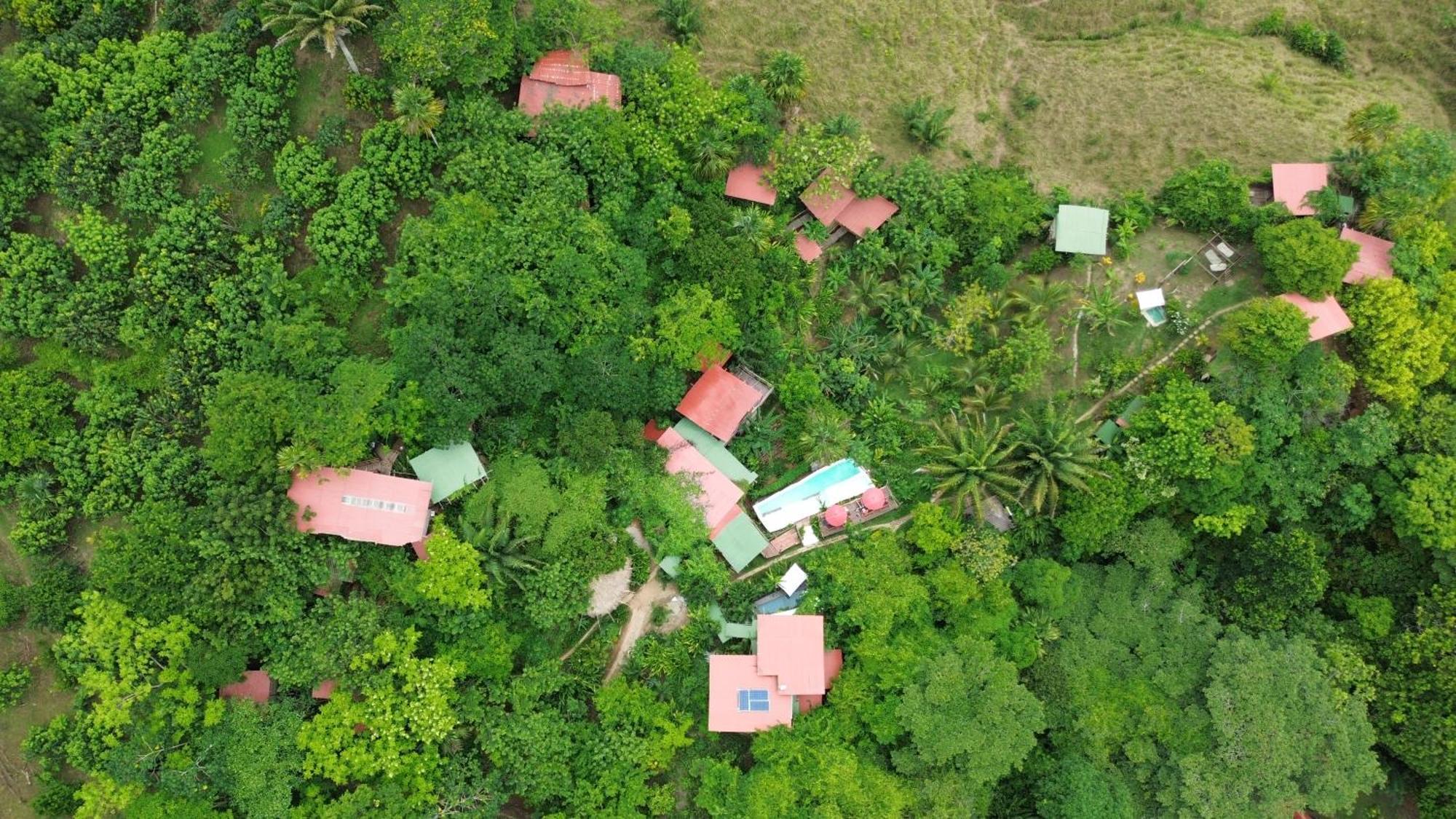 The Valley Tayrona Hostel- A Social Jungle Hostel El Zaino Εξωτερικό φωτογραφία