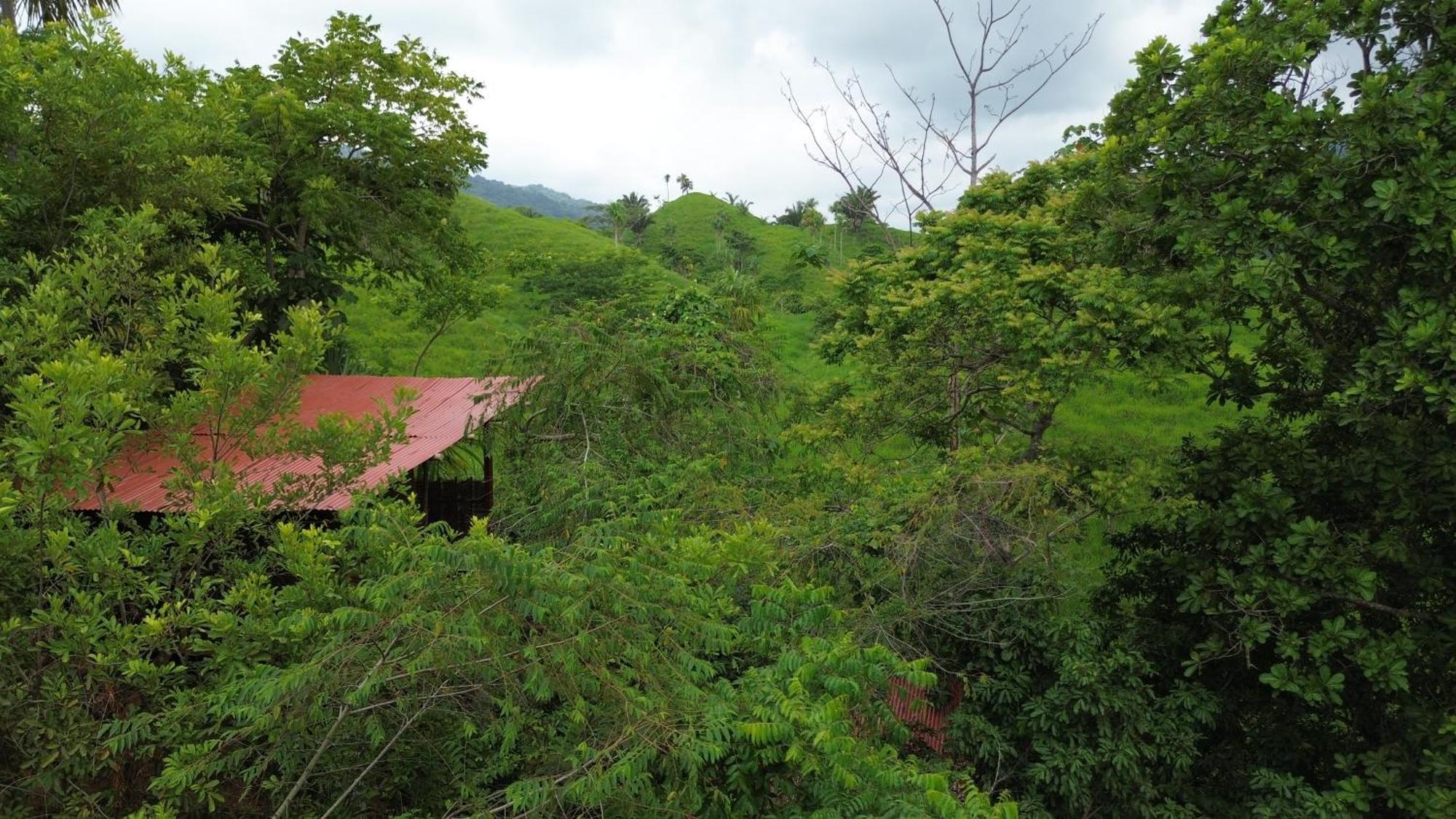 The Valley Tayrona Hostel- A Social Jungle Hostel El Zaino Εξωτερικό φωτογραφία