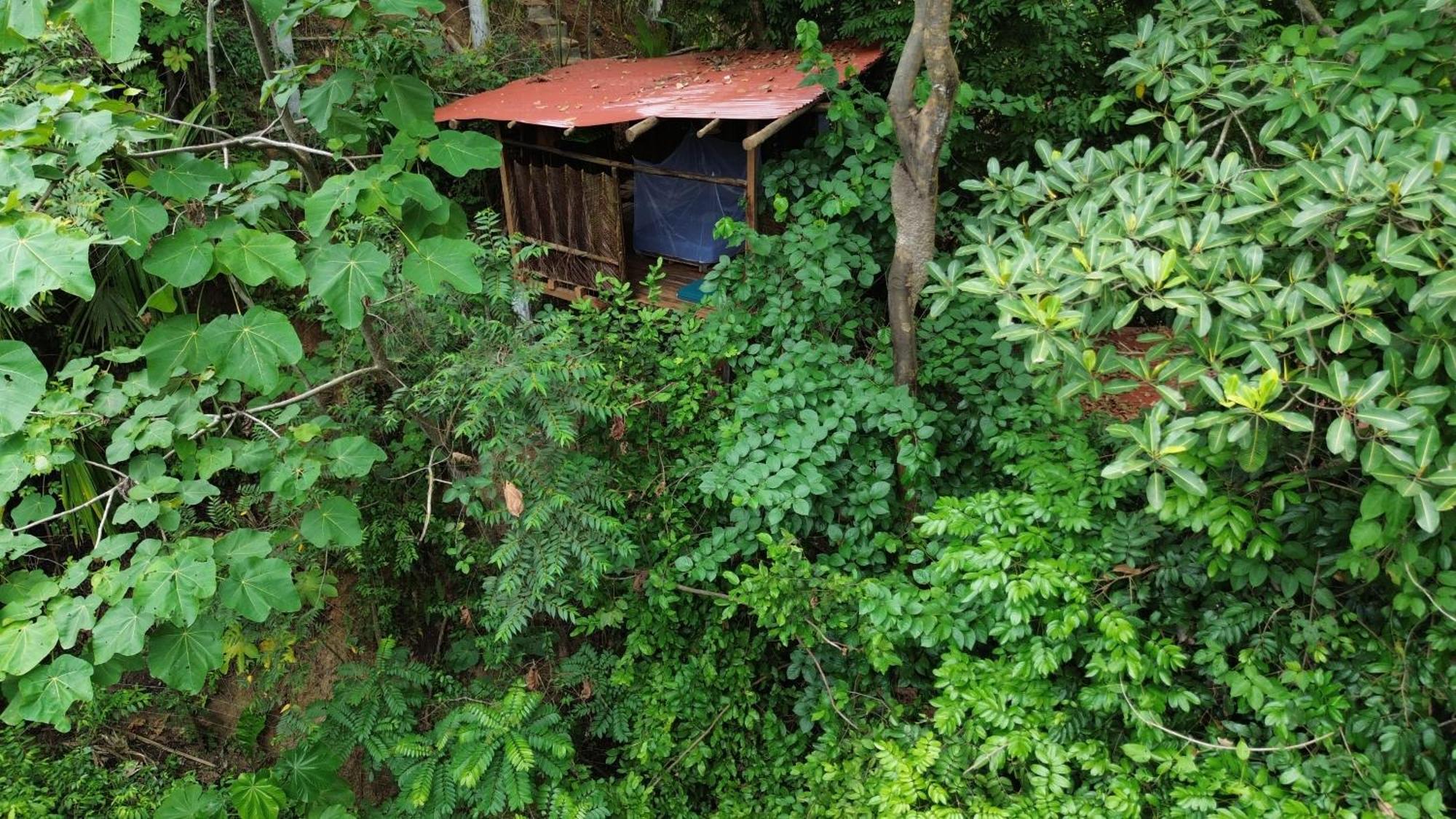 The Valley Tayrona Hostel- A Social Jungle Hostel El Zaino Εξωτερικό φωτογραφία