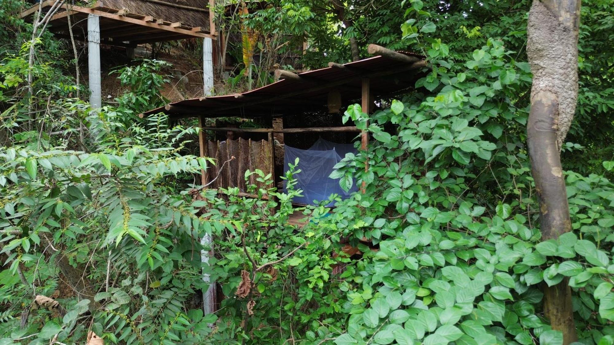 The Valley Tayrona Hostel- A Social Jungle Hostel El Zaino Εξωτερικό φωτογραφία