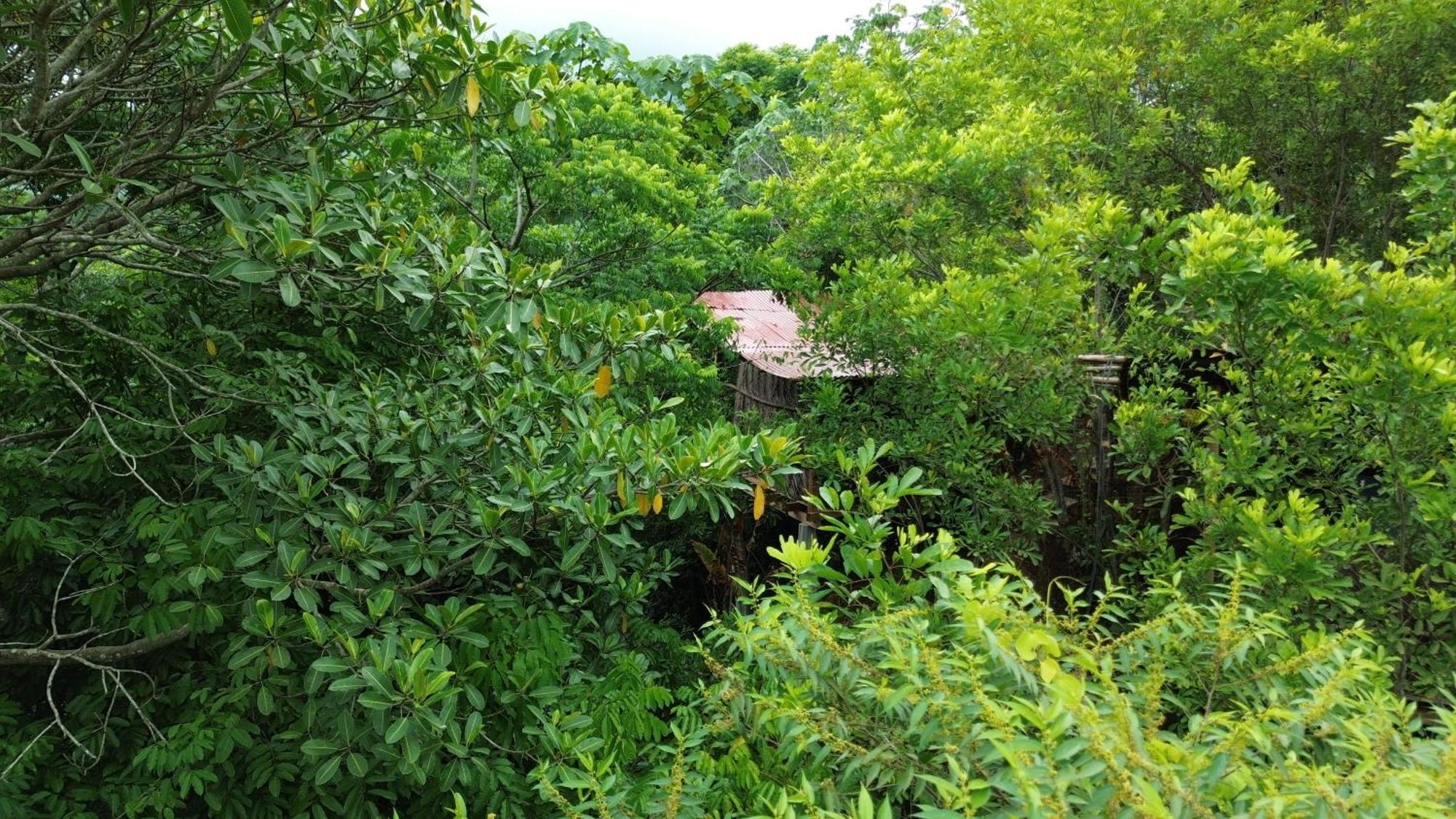 The Valley Tayrona Hostel- A Social Jungle Hostel El Zaino Εξωτερικό φωτογραφία
