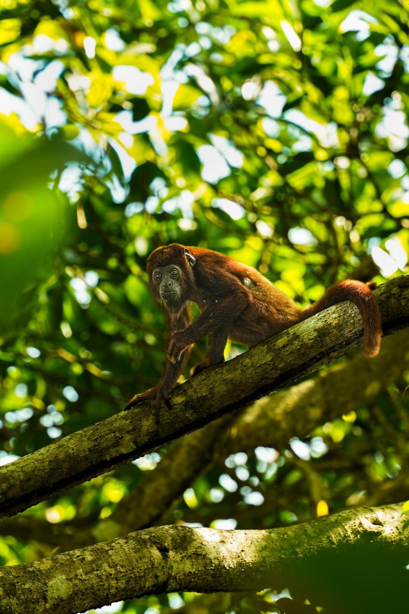 The Valley Tayrona Hostel- A Social Jungle Hostel El Zaino Εξωτερικό φωτογραφία